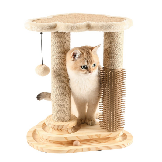 Cat Scratching Post CoolZStuffs