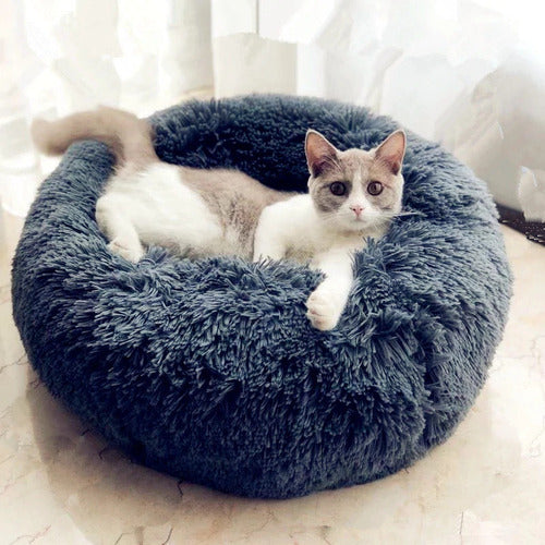 Cat Bed CoolZStuffs