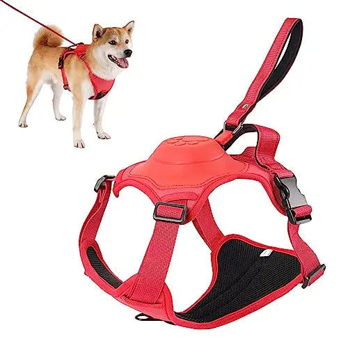 Dog Harness and Automatic Retractable Leash Kit CoolZStuffs