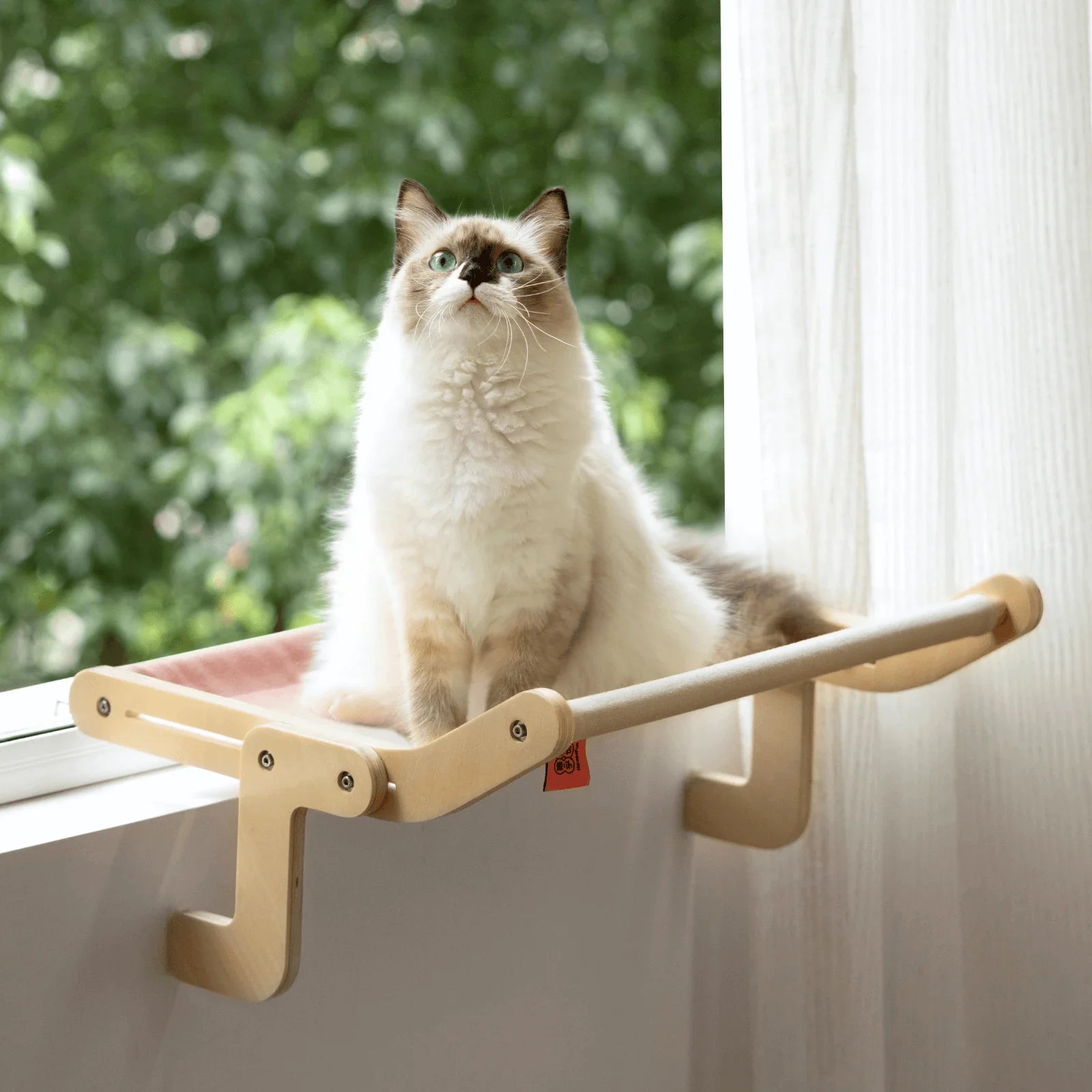 Sturdy Hanging Cat Bed CoolZStuffs