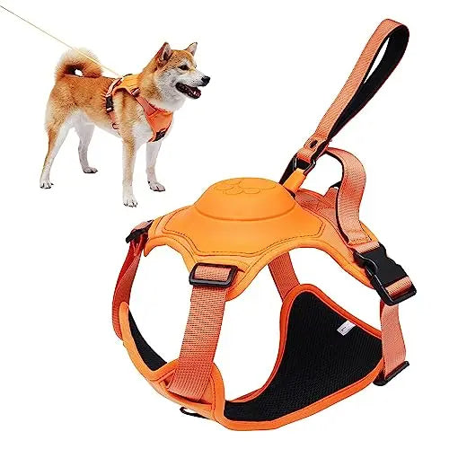 Dog Harness and Automatic Retractable Leash Kit CoolZStuffs