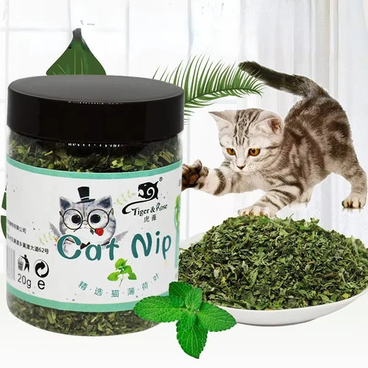 Organic 100% Natural High Quality Catnip Cattle Grass Mint Taste Funny Cat Toy New Cat Toy Interactive Cat Toys Pet Supplies