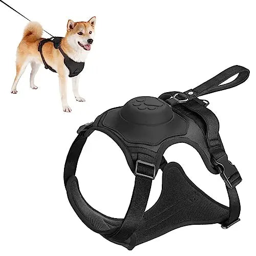 Dog Harness and Automatic Retractable Leash Kit CoolZStuffs