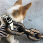 Funny Dog Chain Leash CoolZStuffs