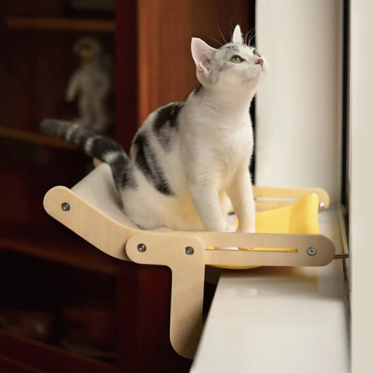 Sturdy Hanging Cat Bed CoolZStuffs