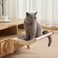 Sturdy Hanging Cat Bed CoolZStuffs