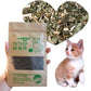 New Organic 100% Natural Cat Catnip Cattle Grass 10G Cat Mint Leaves Menthol Flavor Funny Cat Training Toy Cats Supplies