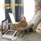 Cat Scratching Board Laptop CoolZStuffs