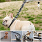 Funny Dog Chain Leash CoolZStuffs