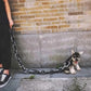 Funny Dog Chain Leash CoolZStuffs