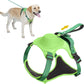 Dog Harness and Automatic Retractable Leash Kit CoolZStuffs