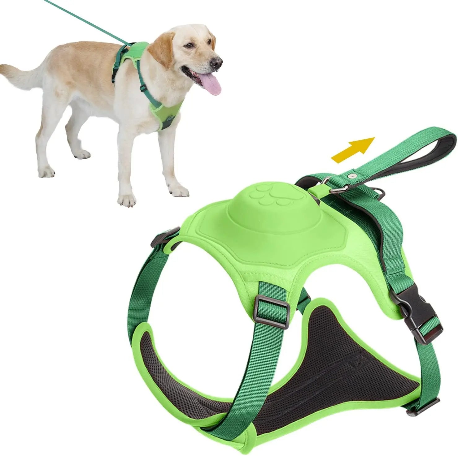 Dog Harness and Automatic Retractable Leash Kit CoolZStuffs